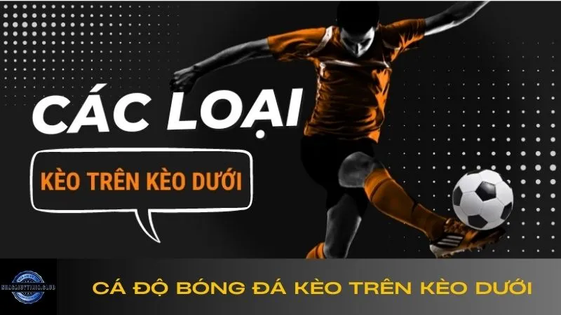 ca-do-bong-da-keo-tren-keo-duoi-la-gi-1