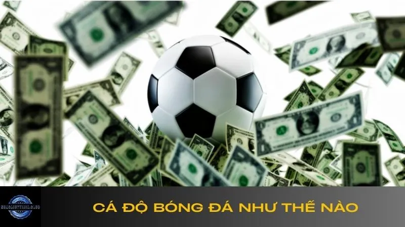 ca-do-bong-da-nhu-the-nao-1