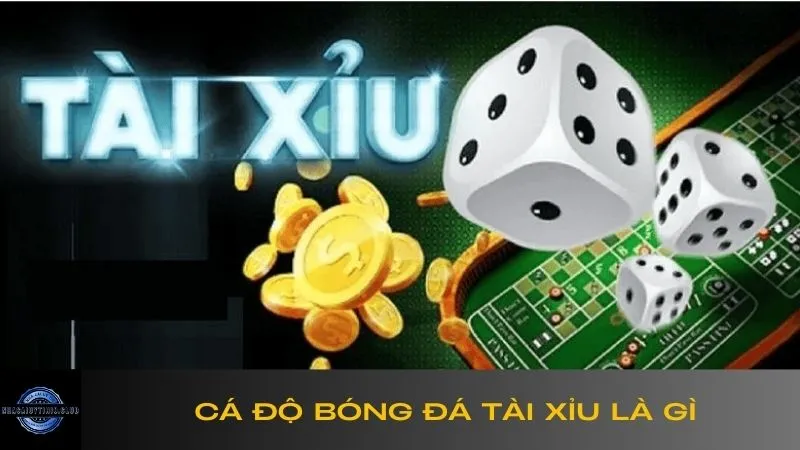 ca-do-bong-da-tai-xiu-la-gi-1