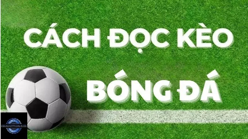 cach-doc-keo-bong-da-2_2_11zon