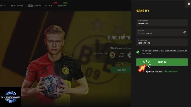 Xác nhận đăng ký 11bet