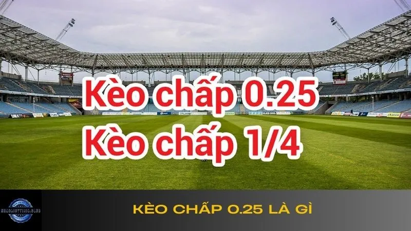 keo-chap-0-25-la-gi-1
