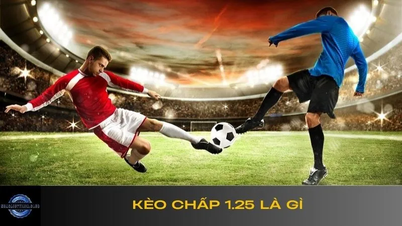 keo-chap-1-25-la-gi-1