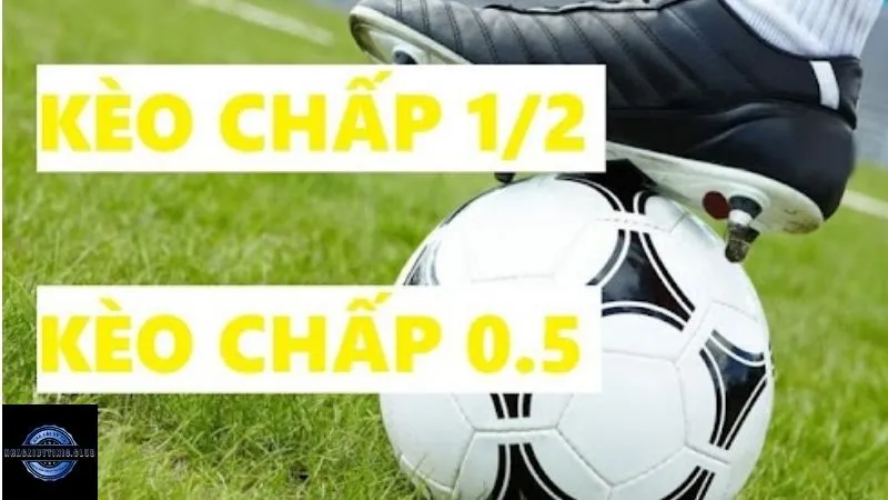 Đặt cược chính xác kèo chấp 1/2 là gì