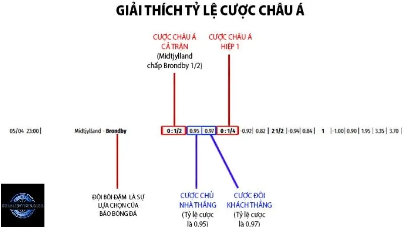 Tìm hiểu về kèo chấp 1/2 là gì trong bóng đá