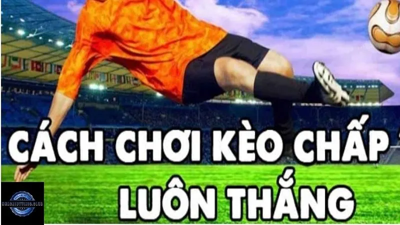 Cách chinh phục mọi kèo chấp 1/2 cho bet thủ