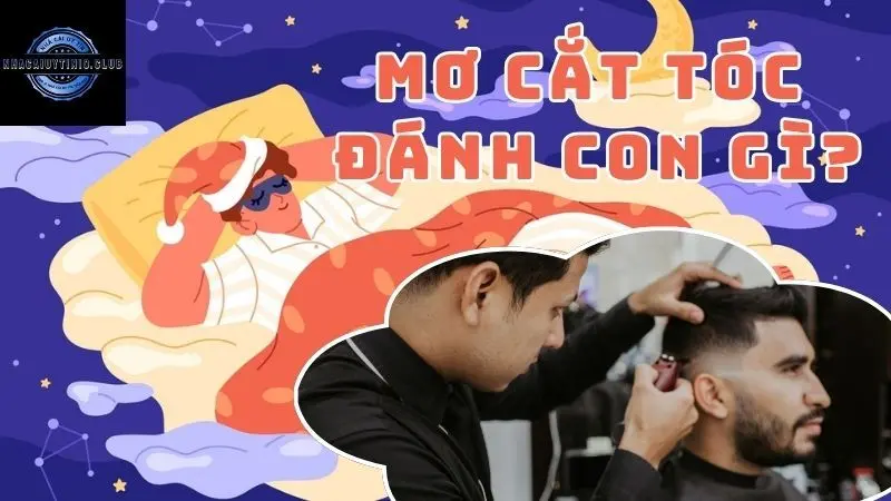 Mơ Cắt Tóc Đánh Con Gì