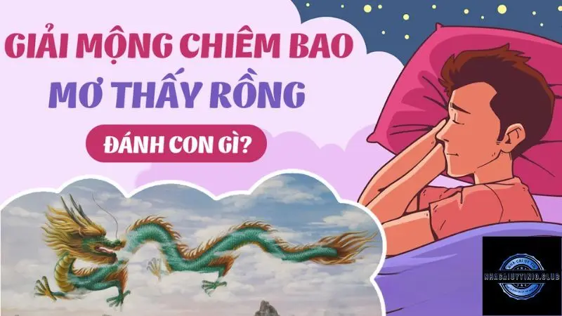 Mơ Thấy Rồng Đánh Con Gì
