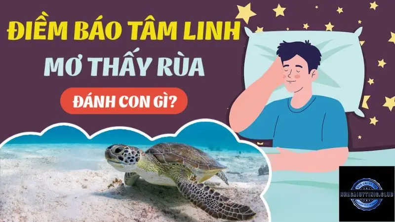 Mơ Thấy Rùa Đánh Con Gì
