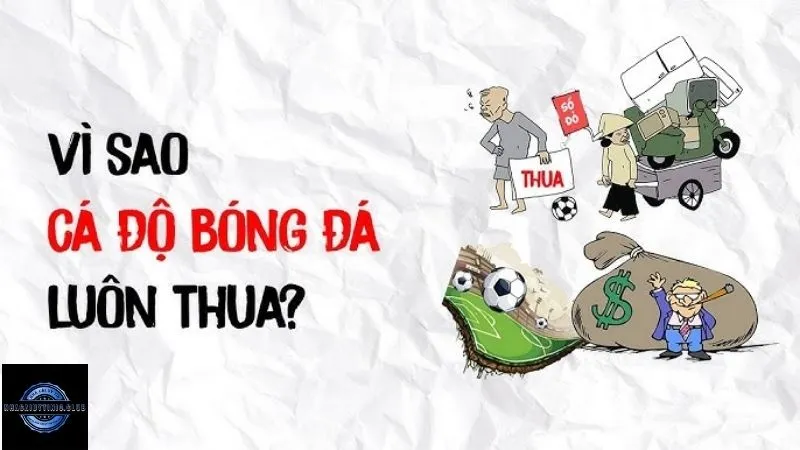 Câu hỏi tại sao cá độ bóng đá luôn thua khiến nhiều dân chơi đau đầu