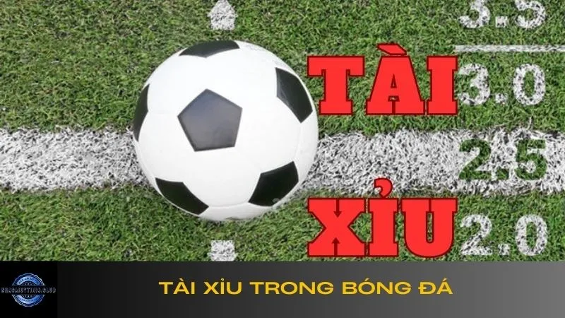 tài xỉu trong bóng đá