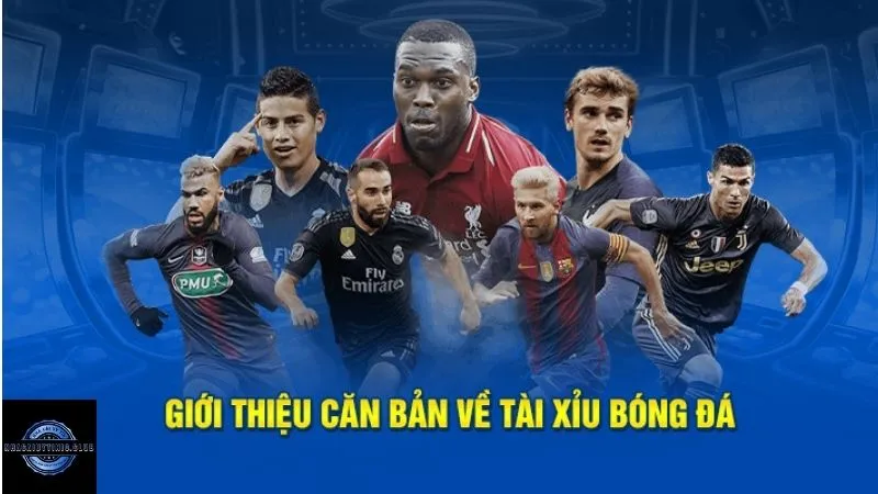 Cách soi kèo tài xỉu trong bóng đá