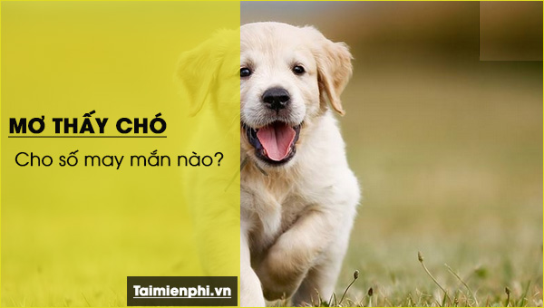 Những Điềm Báo Khi Nằm Mơ Thấy Chó