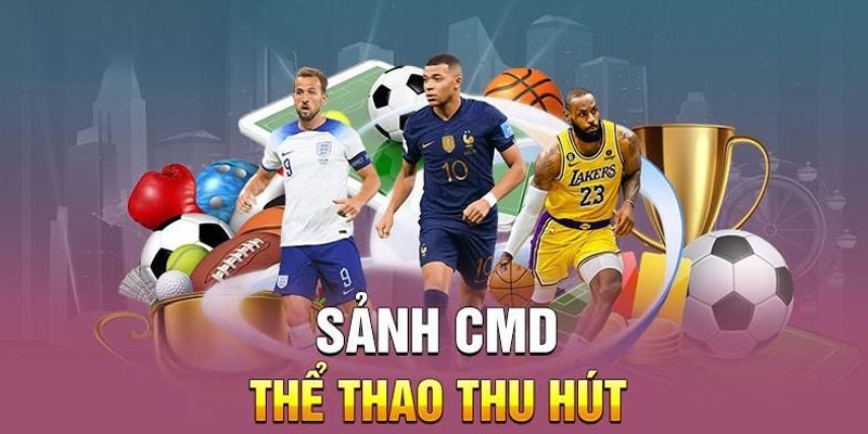CMD thể thao với các giải thể thao cuồng nhiệt